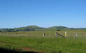 Mammalian Hills
