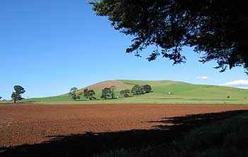 Red soil at Forest Hill