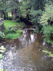Mill stream